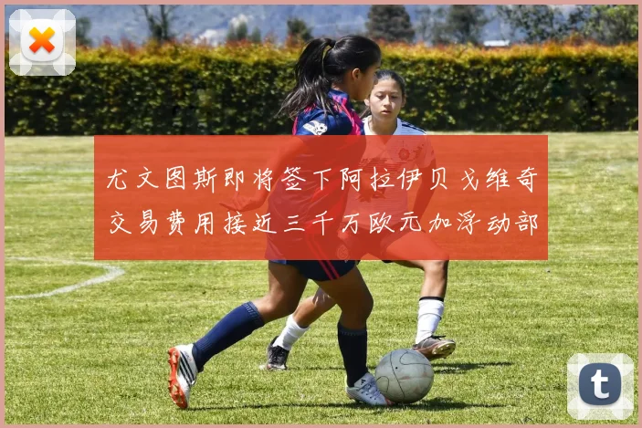 尤文图斯即将签下阿拉伊贝戈维奇交易费用接近三千万欧元加浮动部分